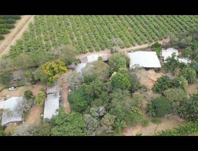 FARM FOR SALE IN LEVUBU